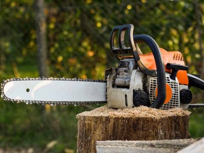 Αλυσοπρίονο: Η Απόλυτη Λύση για Κοπή Ξύλων & Κλάδεμα